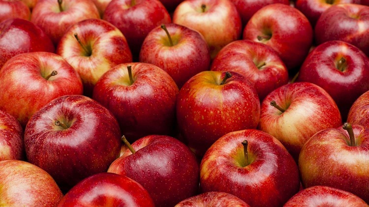 Ăn quá nhiều táo khiến bạn thèm ăn đường nhiều hơn