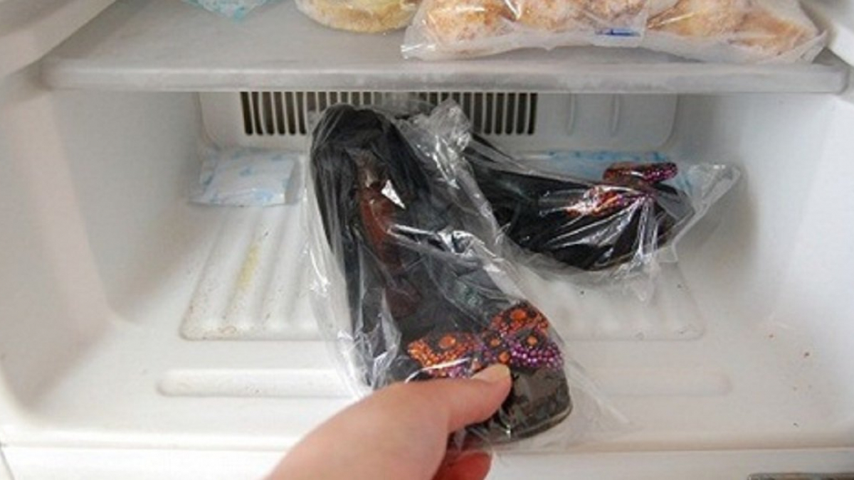 bỏ giày vào tủ lạnh